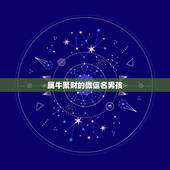 属牛聚财的微信名男孩，属牛的起微信名什么好