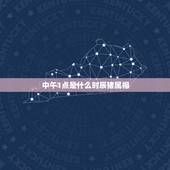 中午1点是什么时辰猪属相，中午一点是什么时辰