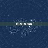 蛇天蝎2022运势