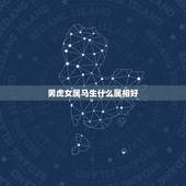 男虎女属马生什么属相好，78年女属马配什么属相最好