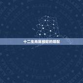 十二生肖属相蛇的婚配，属蛇的最佳婚配属相是？