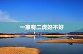 一家有二虎好不好，家里有两个属虎的会相克吗
