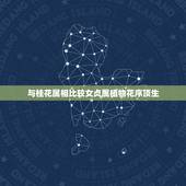 与桂花属相比较女贞属植物花序顶生，什么叫“女贞属植物”？