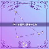 2003年属羊人属于什么命，2003年生五行属什么