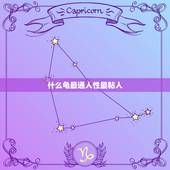 什么龟最通人性最粘人，什么龟最通人性，互动性强？