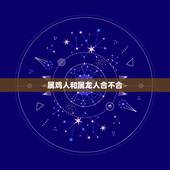 属鸡人和属龙人合不合，为什么属鸡会喜欢属龙