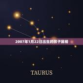 2007年1月22日出生的孩子属相，2007年出生属猪的是什么星座