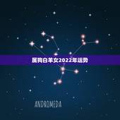 属狗白羊女2022年运势，94年属狗、白羊座2011年运势