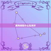 属狗绝配什么生肖好，狗的绝配生肖是什么