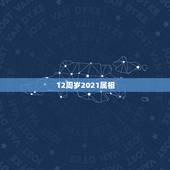 12周岁2021属相，2023年属牛的2021年多大虚岁？