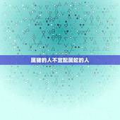 属猪的不宜配什么属相(猪猪不配看看这些就知道了)