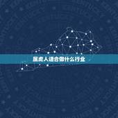 属虎人适合做什么行业，属相属虎的适合做什么行业