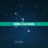 属牛的人2022年运势，属牛人2022年每个月运势