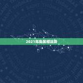 2021年兔属相运势，2021年生肖兔的全年运势