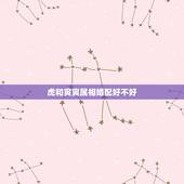虎和寅寅属相婚配好不好，属虎和属虎的婚姻好吗