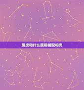 属虎和什么属相相配相克，2022年属相虎与什么克