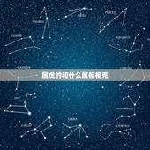 属虎的和什么属相相克，属虎的和什么属相相克相冲