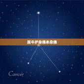 属牛护身佛本命佛 牛年的本命佛是什么佛