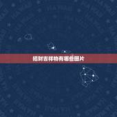 招财吉祥物有哪些图片，招财的吉祥物有哪些