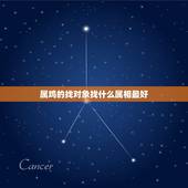 属鸡的找对象找什么属相最好，属鸡的找属什么的对象最好