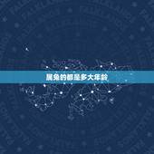 属兔的都是多大年龄，属兔的今年多大