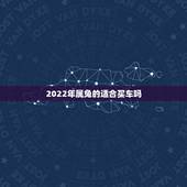 2022年属兔的适合买车吗，2022年适合买房子吗