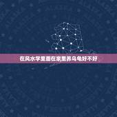 在风水学里面在家里养乌龟好不好，从风水上讲 家里养两只龟好还是三只好？