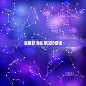 星座新浪星座运势查询，新浪星盘查询