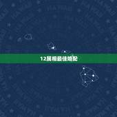 12属相最佳婚配，十二生肖最佳配偶