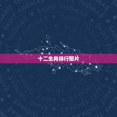 十二生肖排行图片，十二生肖排序？
