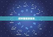 招财猫摆放禁忌，招财猫放在店里什么位置，招财猫放店铺什么讲究，店铺