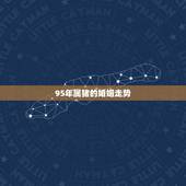 95年属猪的婚姻走势，1995属猪的女人旺夫吗