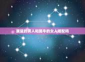 属鼠的男人和属牛的女人婚配吗，男的属鼠，女的属牛在一起合适吗