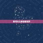 属马什么颜色最吉利，1978属马的幸运颜色和数字
