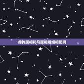 龙的属相和马属相婚姻相配吗，1976年男属龙和1978年女属马的婚姻幸