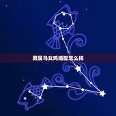 男属马女鸡婚配怎么样，女属鸡和男属马相配吗