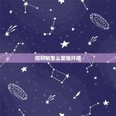招财树怎么繁殖扦插，发财树怎么进行扦插繁殖？