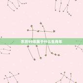 农历99年属于什么生肖年，1999年，是属什么生肖年