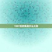 1987年的兔是什么火命，1987年属兔的命运怎么样