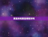 属鼠的和属鼠婚配好吗，属鼠与属鼠相配吗 详细�0�3