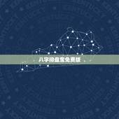 八字排盘宝免费版，全国最精准的四柱八字排盘软件
