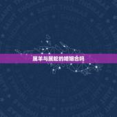 属羊与属蛇的婚姻合吗，属羊女与属蛇男的婚姻合吗