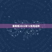 董易奇2022年12生肖运势，2022 年12生肖运势解析完整版
