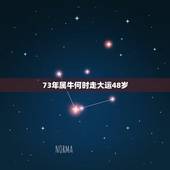 73年属牛何时走大运48岁，1973年属牛48岁本命年要注意什么事项？