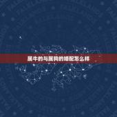 属牛的与属狗的婚配怎么样，属狗的与属牛的婚配可以吗