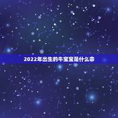 2022年出生的牛宝宝是什么命，2023年1月出生的宝宝好不好