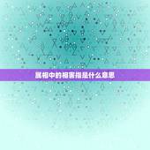 属相中的相害指是什么意思，十二生肖里的相害是什么意思