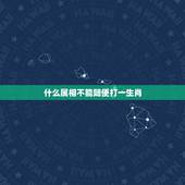 什么属相不能随便打一生肖，最是不能惹的动物？打一个生肖？说明一下原