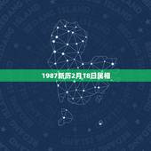 1987新历2月18日属相，属兔 1987年阳历2月18日命运如何？