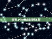 婚配之中的三会是指哪三会，天作之合，什么意思？是表达两个人综合匹配度吗